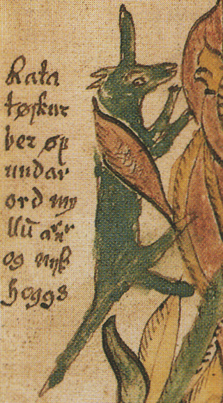 Ratatoskr depicted in an old Norse manuscript